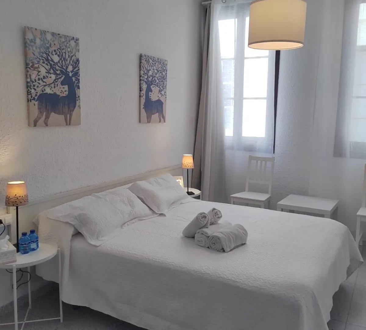Hostal Dragonflybcn Barselona Konukevi