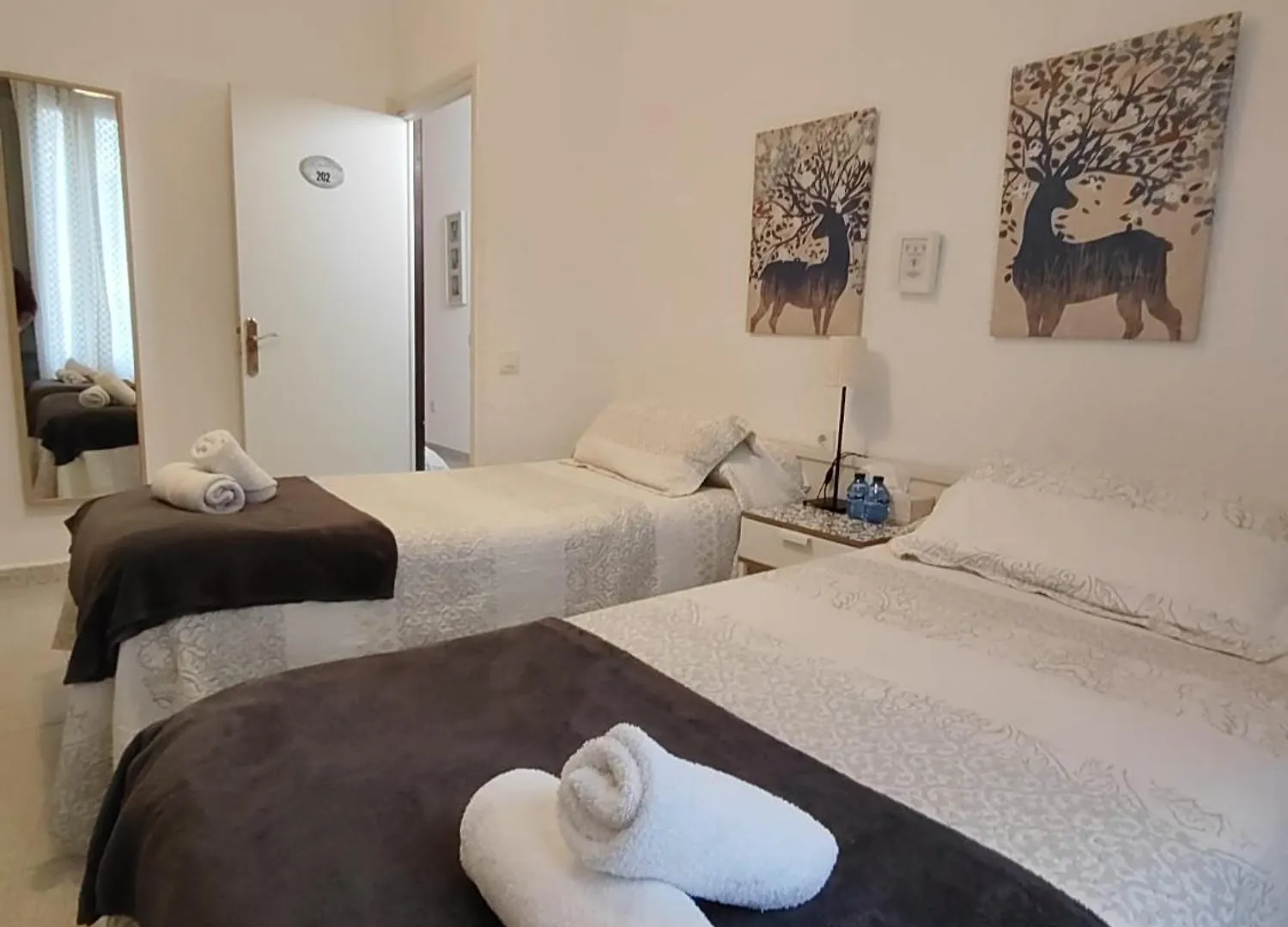 Hostal Dragonflybcn Barcelona España